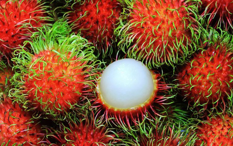 Top 10 Most Exotic Fruits You Should Try