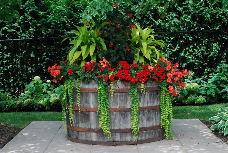 Quiet Corner Ideas For Container Gardens Quiet Corner