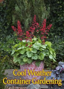 Tips for Cool Weather Container Gardening