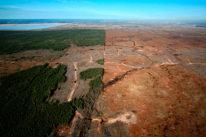 10% of Earth's wilderness is destroyed in just 25 years