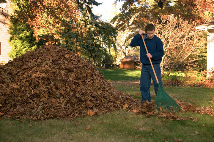 Prepare Your Lawn and Garden for Winter
