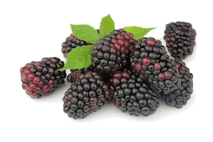 Amazing Health Benefits of Boysenberries