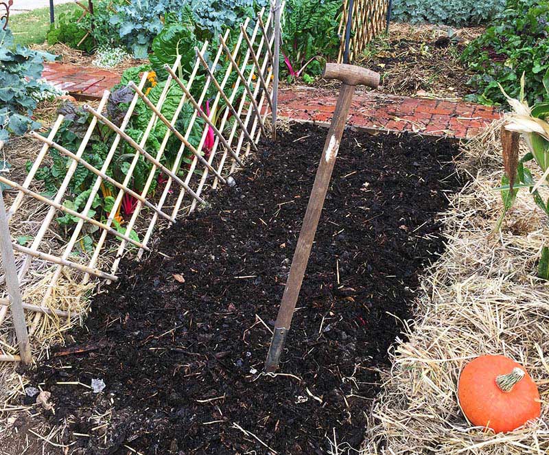 Gardening With Manure