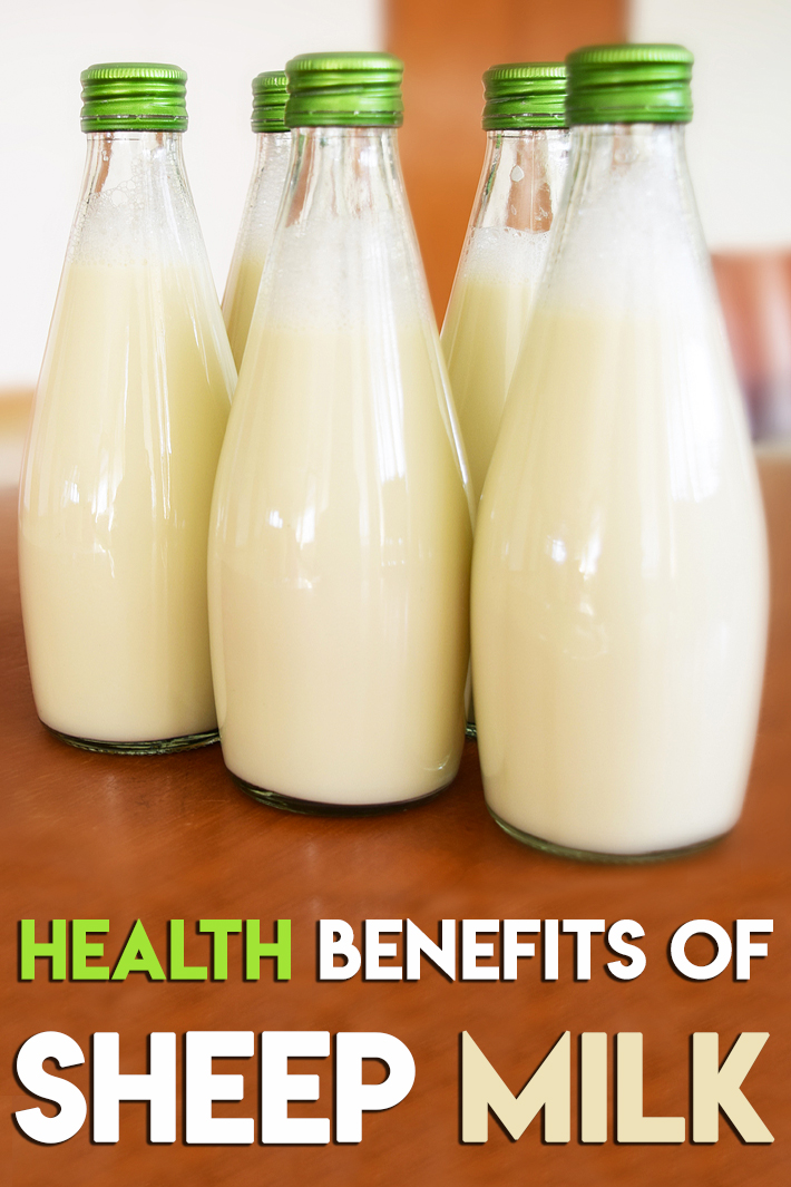 Health Benefits Of Sheep Milk