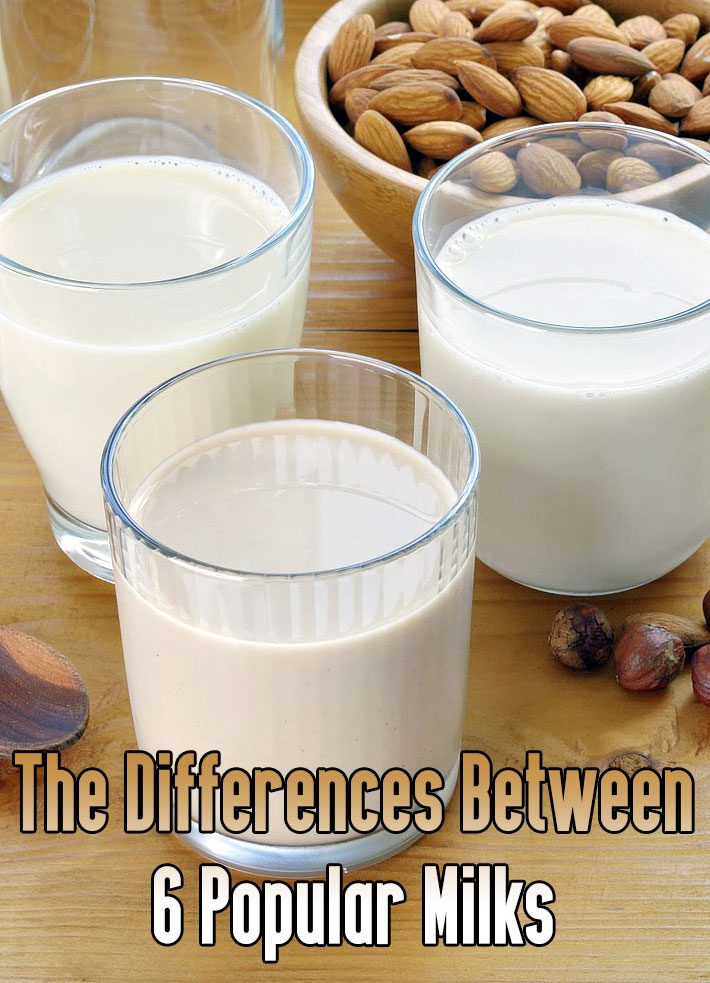 The Differences Between 6 Popular Milks