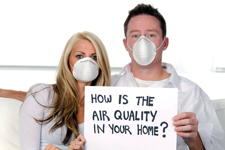 How to Improve Indoor Air Quality Without Chemicals