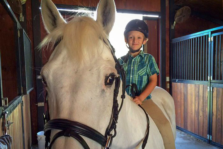 7-year-old boy buys pony with lemonade stand money