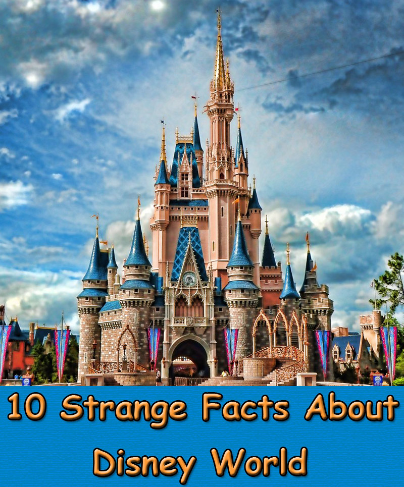 10 Strange Facts About Disney World