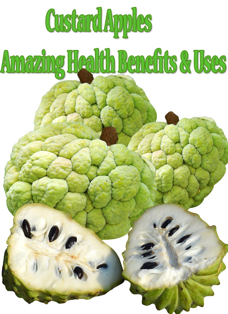 Custard Apples Amazing Health Benefits & Uses