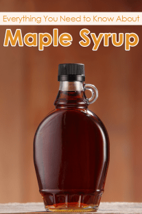 Everything You Need to Know About Maple Syrup