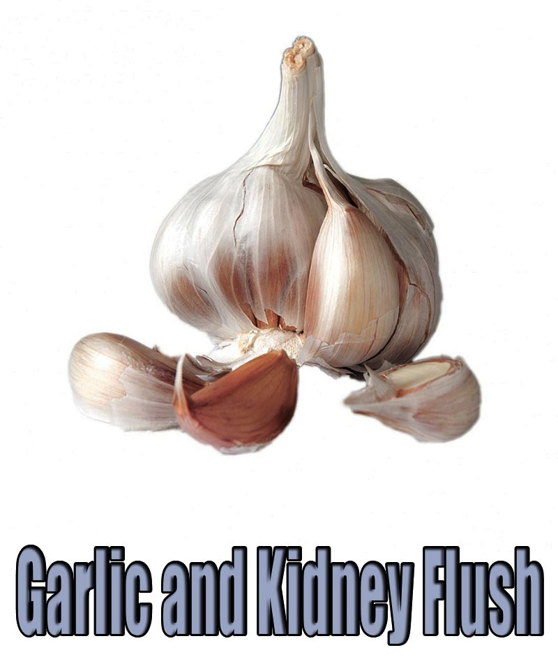 Garlic and Kidney Flush