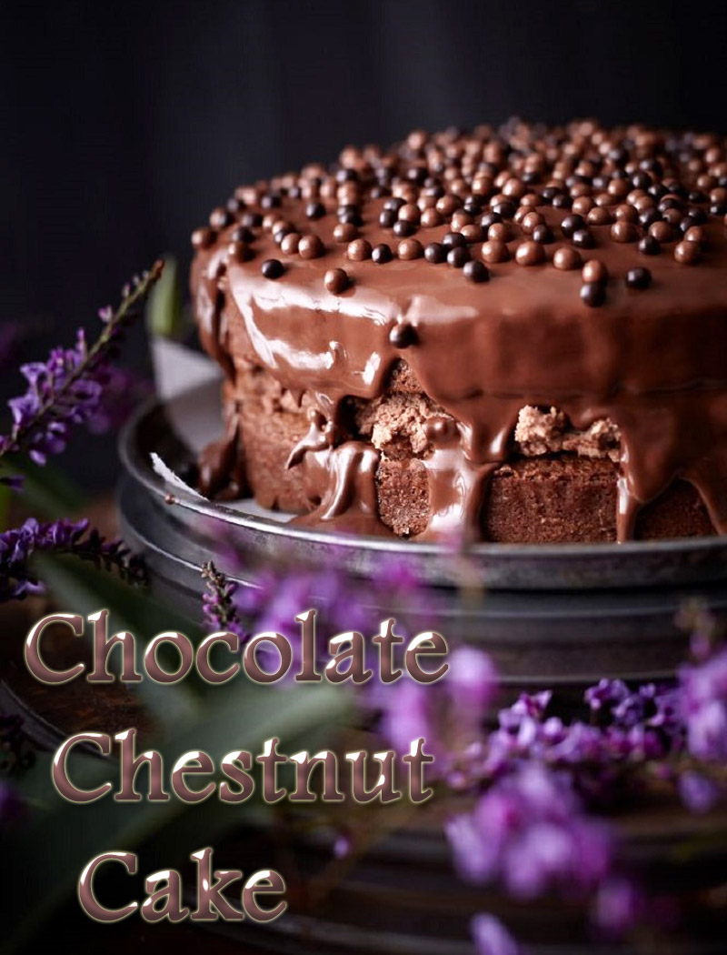 Dessert Recipes - Chocolate Chestnut Cake