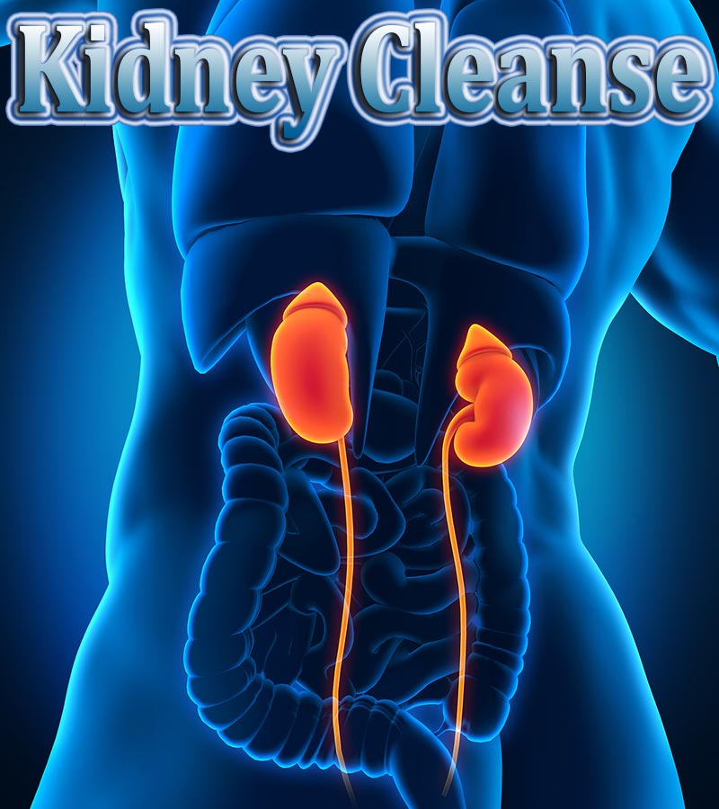 Kidney Cleanse