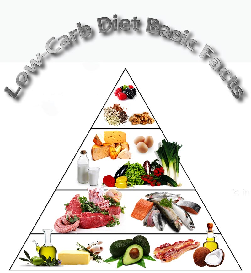 Low Carb Diet Basic Facts