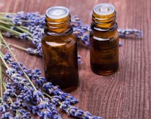 Quiet Corner:Lavender Oil Benefits for Hair - Quiet Corner