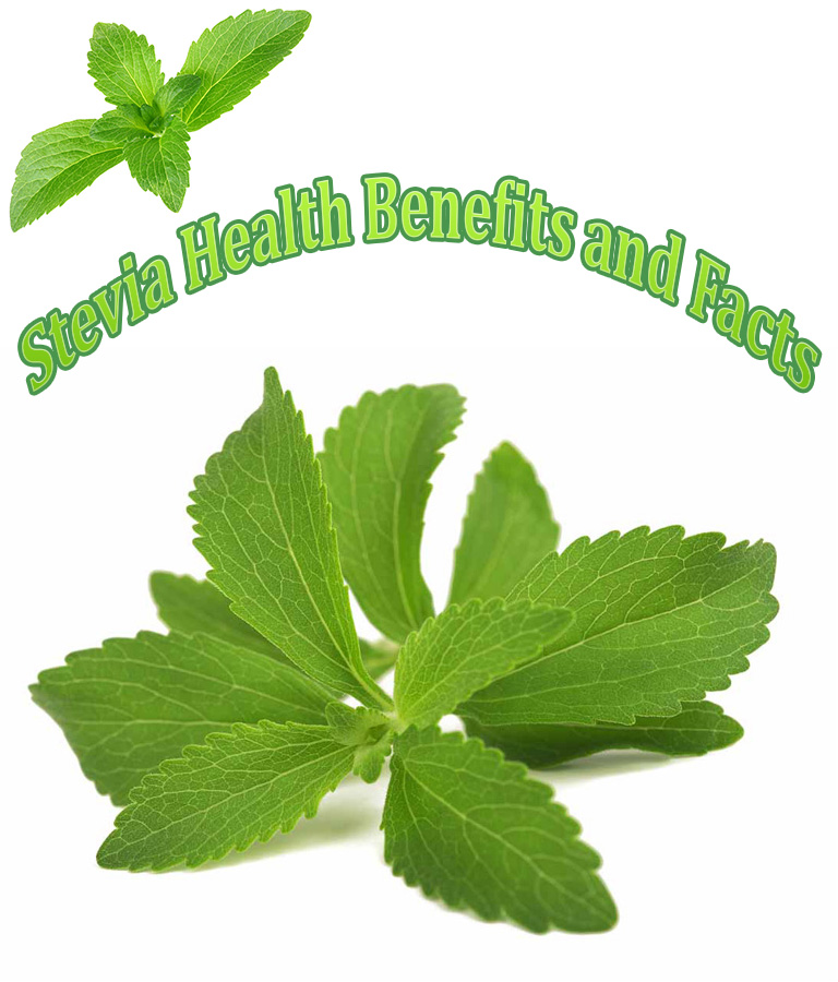 Stevia Health Benefits and Facts - Quiet Corner