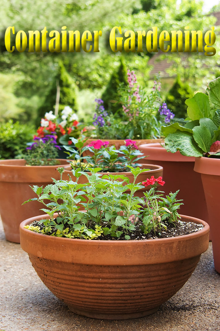 Container Gardening is Not so Limiting After All