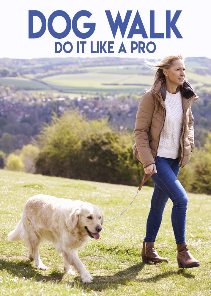 Dog Walk – Do It Like a Pro
