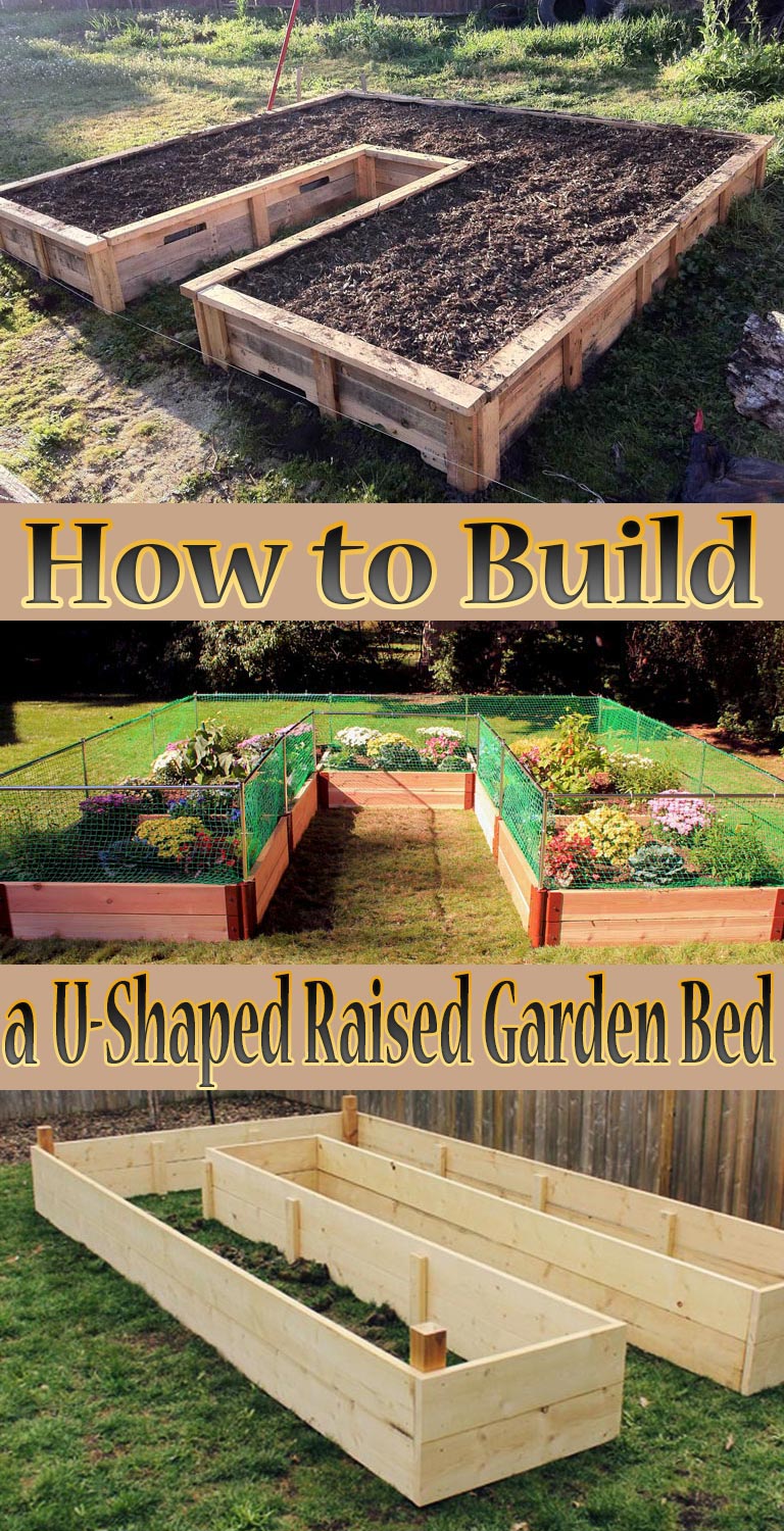 Get Raised Bed Garden U Shaped PNG