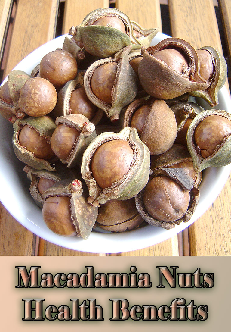 Macadamia Nuts Health Benefits and Nutrition Facts