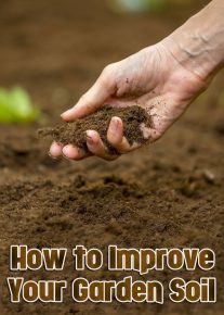 How to Improve Your Garden Soil