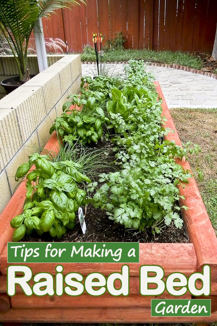 Tips for Making a Raised-Bed Garden