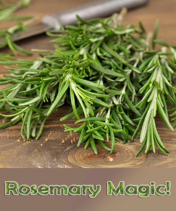 Rosemary Magic! Five Easy Ways that Rosemary Can Improve Your Well-being