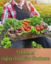 Gardening Tips - 7 Habits of Highly Productive Gardeners 2