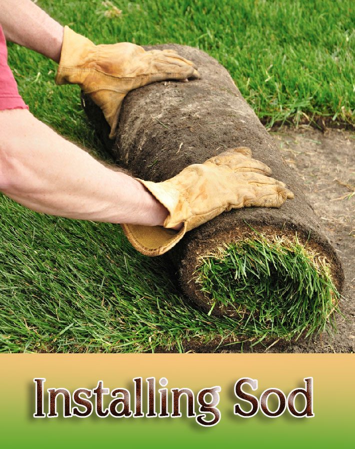 DIY – How to Install Sod for a New Lawn