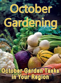 October Gardening: October Garden Tasks in Your Region