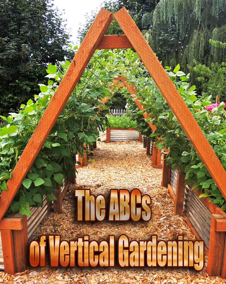 Quiet Corner:The ABCs of Vertical Gardening - Quiet Corner