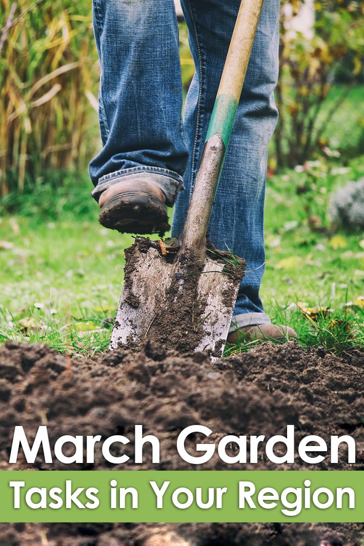 March Gardening Guide: March Garden Tasks in Your Region
