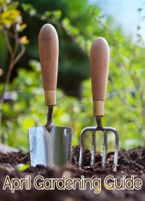 April Gardening Guide: April Garden Tasks in Your Region