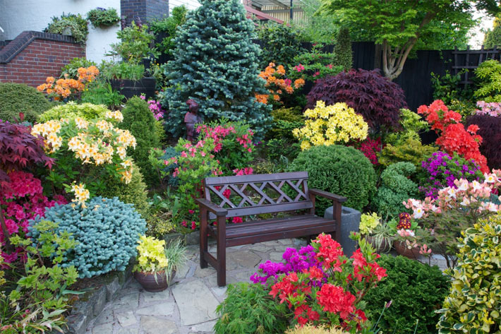 Small Garden Design – Tips and Tricks