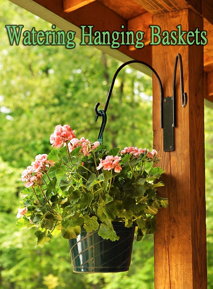 Watering Hanging Baskets