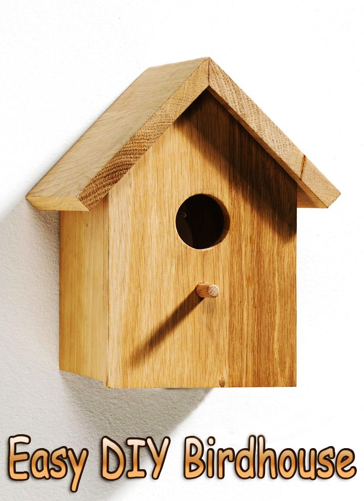 How to Make an Easy DIY Birdhouse