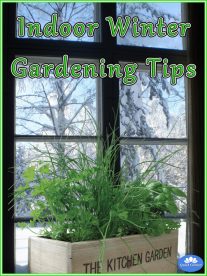Indoor Winter Gardening Tips